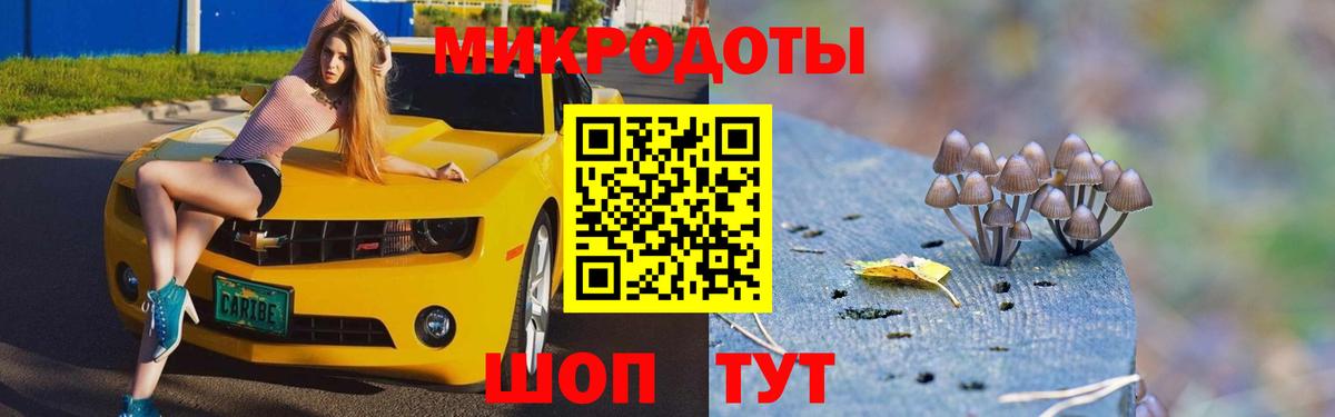 Соль-Илецк  Псилоцибиновые грибы GOLDEN TEACHER  Вход с VPN 